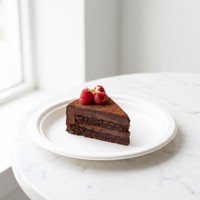 Assiettes jetables résistantes à la graisse pour l'emballage alimentaire, kits repas, bagasse de canne à sucre, écologiques, pour la vente à emporter, restaurants, en gros