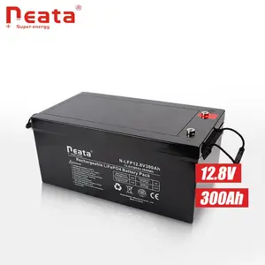 Neata source factory 100ah 200ah 300ah lithium ion battery lifepo4 12v