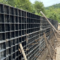 Coffrage en plastique réutilisable de haute qualité pour le moulage de colonnes, pour les panneaux de villa et la construction en une seule pièce