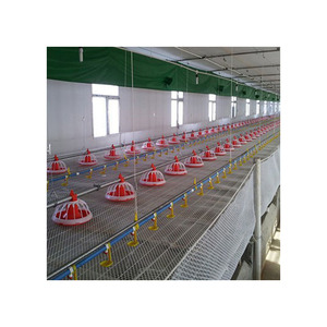 Línea de alimentación de aves de corral, sistema automático de alimentación y bebedero para <span class=keywords><strong>pollos</strong></span> - Product Image 1