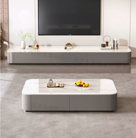 Table basse de luxe compacte pour salon, idéale pour les petits espaces domestiques, table basse simple avec combinaison meuble TV