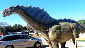 ไดโนเสาร์สัตว์ ไดโนเสาร์คอยาว ไดโนเสาร์เคลื่อนไหวได้ โมเดลไดโนเสาร์แอนิเมทรอนิกส์ อามาร์กาซอรัส - Product Image 2