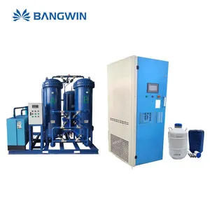 BW vendita popolare 10L/hr macchina per produzione di azoto liquido LN2 impianto liquido N2