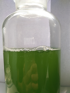 Nhà Máy cung cấp với giá tốt nhất Hữu Cơ Chlorella pyrenoidosa Chlorella bột - Product Image 5