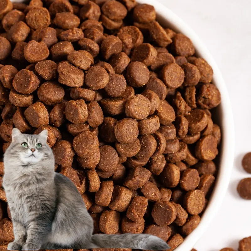 Venda por atacado de alimentos para animais de estimação de alta proteína de marca própria sem grãos OEM 10kg ração seca a granel para gatos