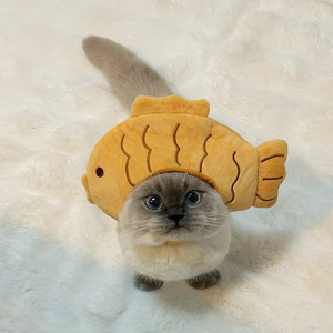 Chapeaux pour animaux de compagnie en peluche chaude, motif ours mignon, couleur unie, toutes saisons, Noël, fabriqués en Chine, par le fabricant 2026 - Product Image 1