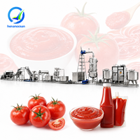 Automatische tomatenpuree productielijn, ketchupmachine, tomatenverwerkingsmachine, prijs