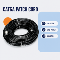 Câble Patch Blindé Cat6 Cat6A SFTP FTP à Expédition Rapide, Prêt pour 10G, CCA Plaqué Or pour CCTV Longue Distance Extérieur