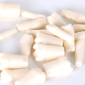 Artículos Escolares Más Vendidos, Modelo Dental, Dientes Artificiales, Articulador Dental Desmontable - Product Image 4