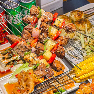 La Parrilla para Barbacoa Más Vendida, Parrilla para Exteriores, Horno Microondas con Parrilla - Product Image 4