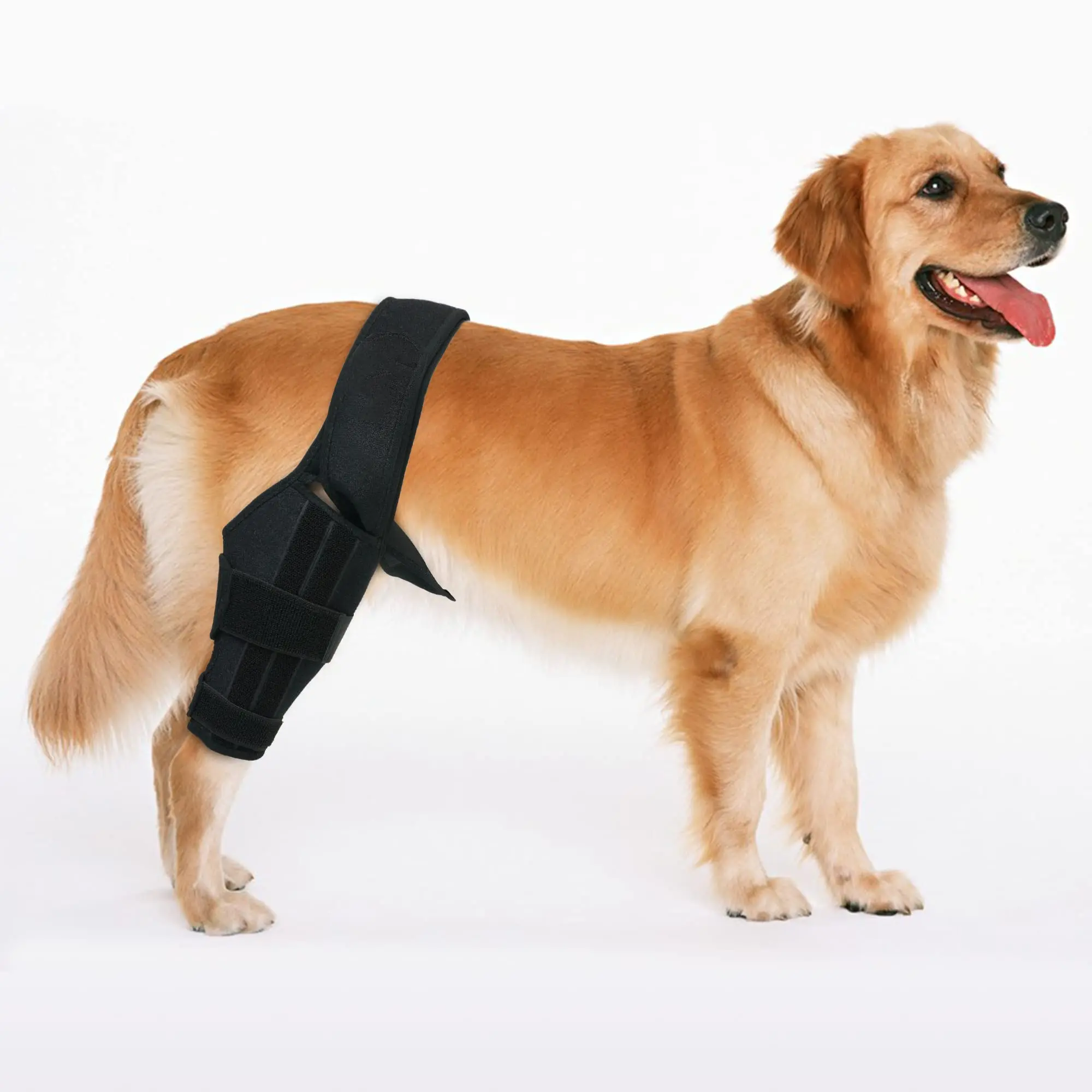 Sıcak satış neopren ayarlanabilir yaralanma köpek haç Ligament ortak diz desteği Wrap Pet bacak diz kollu köpek dizlik