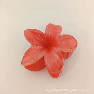Women's <strong>Custom</strong> Floral Hair Claw Sweet Colorful Resin Flower Hair <strong>Clip</strong> for Daily Styling - Product Image 6