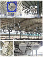 Ventilateur d'extraction pour étable d'élevage laitier de 72 pouces, 2,2 kW, entraînement par courroie AC, en fibre de verre, 53 000 CFM, grand volume d'air pour le bétail