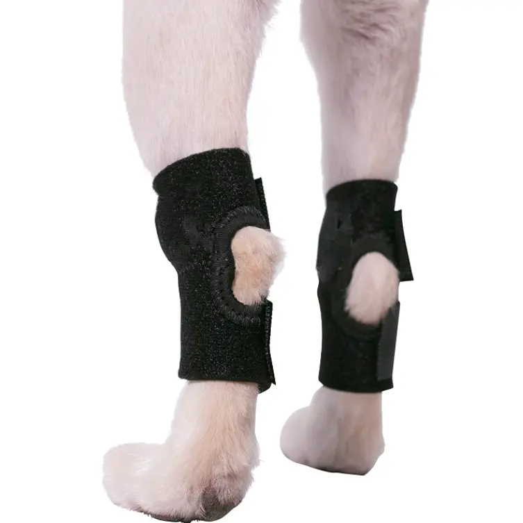 Hunde knie orthese für Hinterbein Haustier Hund Unterstützung für Verletzungen Verstauchung Chirurgie Wiederherstellung orthese Hunde beine Gelenk wickels chutz