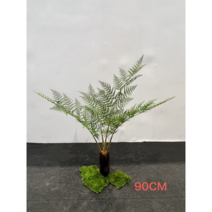 Plantes artificielles <span class=keywords><strong>en</strong></span> plastique Alsophila Spinulosa, plante artificielle <span class=keywords><strong>en</strong></span> <span class=keywords><strong>pot</strong></span> pour la décoration intérieure, le bureau, le jardin, décoration de la maison - Product Image 2
