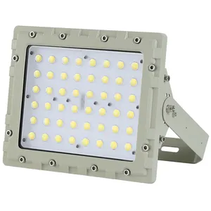 Lampade a led antideflagranti a prova di esplosione riflettore 100W luce di inondazione atex