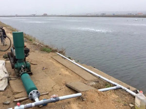 Aérateur d'étang à poissons d'aquaculture à grand volume d'air Offre Spéciale 1.5kw en fonte électrique (AC 380V) haute pression pour la pisciculture OEM - Product Image 5