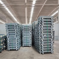 Cage en treillis métallique galvanisé robuste, empilable, pour stockage en entrepôt
