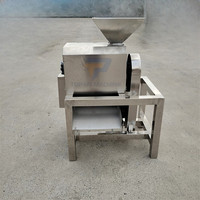Papaye Meloen Mango Tomaat Pruimen Kiwi Pitaya Puree Maken Groente Fruit Pitting Pulping Machine Prijs