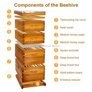 กล่องรังผึ้งแบบ Langstroth 4 ชั้น ยี่ห้อ Menger Bee พร้อมเฟรม 10 ชิ้น ทำจากไม้สนเคลือบขี้ผึ้ง ชุดอุปกรณ์เริ่มต้นเลี้ยงผึ้งครบชุด - Product Image 4