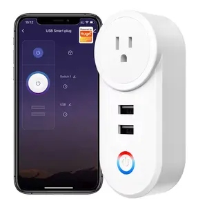 10A Tuya Wifi Wall Socket With 2 Usb Port Smart Home Wall Plug US With Remote Control Timing Function Electrical Outlet