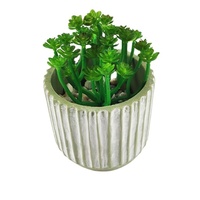 Pot Bunga Bonsai Semen Modern Buatan Tangan untuk Dekorasi Rumah