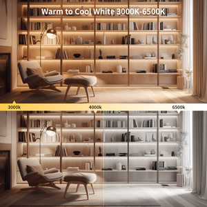 Feican Ngoài Trời Neon Dải Ánh Sáng Dual-Màu <span class=keywords><strong>LED</strong></span> 3000K-6000K USB Kết Nối 24V Nhựa Cơ Thể Điều Khiển Bằng Giọng Nói Chế Độ Cho Trang Trí - Product Image 5