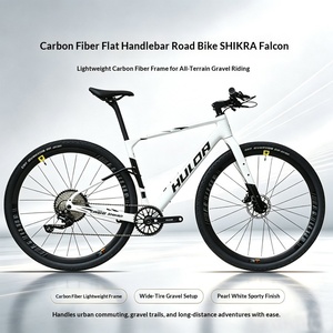 Gravel <b>Bike</b> Carbon Fiber T800 <b>Frame</b> 12-Speed Hydraulic Disc Brakes Gravel Road Detachable Design A058 Detachable <b>Frame</b> - Product Image 2