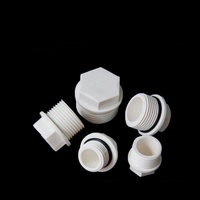Bouchons d'extrémité de tuyau en PVC de fabrication en usine 1/2 '',3/4'',1 ''Raccords à filetage mâle pour tube de jardin Connecteur de tuyau Waterstop