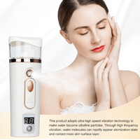 OEM portátil LED nebulizador cuerpo facial vaporizador ABS iónico 30ml Nano rociador de niebla para la belleza uso doméstico alimentado por batería