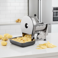 Fabrieksleverancier van elektrische voedselsnijder voor cassave, wortels, friet en aardappelchips.