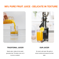 Commerciële automatische continue fruitpers van roestvrij staal voor appels, sinaasappels en ander fruit en groenten