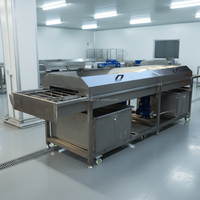 Machine automatique de lavage de légumes, de viande et d'aliments en acier inoxydable industriel