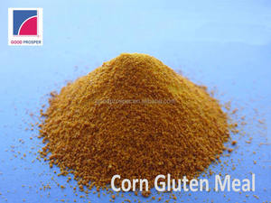 Acheter des aliments pour animaux Remplacer la farine de poisson et la farine de soja Protéine de maïs Repas d'alimentation au gluten - Product Image 2