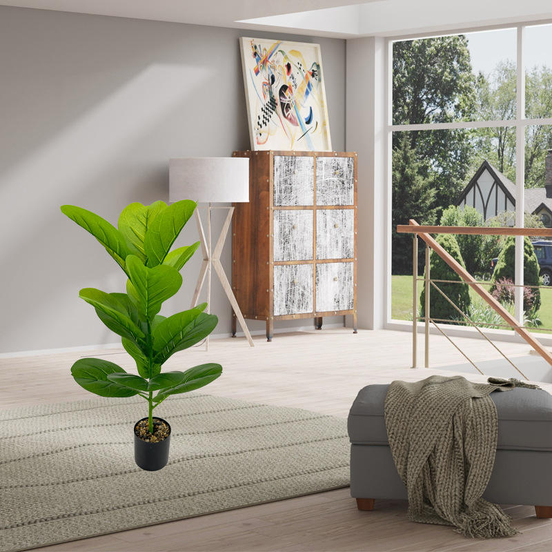 15 ficus feuille de piano 63cm-sans bassin