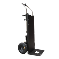Chariot électrique à batterie ternaire de 400 kg avec conception pliable et pneus larges pour les chantiers de construction