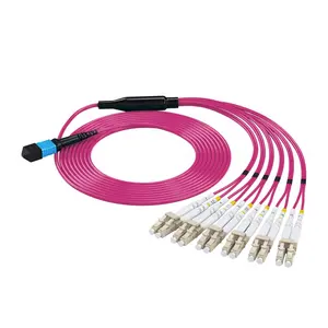 12Core Mpo/Mtp Naar Lc Patchkabel Om4 Glasvezel Patchkabel