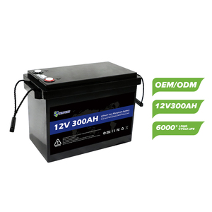 OEM ODM diseño 6000 ciclos 12V 300Ah hogar Lifepo4 baterías desmontable impermeable Lifepo4 células prismáticas bacterias litio - Product Image 1