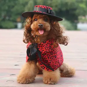 Vente en gros 2022 Offre Spéciale Halloween cape chapeau et faux cheveux ensemble produits pour animaux de compagnie chat chien costume vêtements