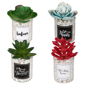 Mini Artificial Pot Combination Ins Wind Home Simulation Succulent Plastic Stickers Simulation Green Plant Small Bonsai