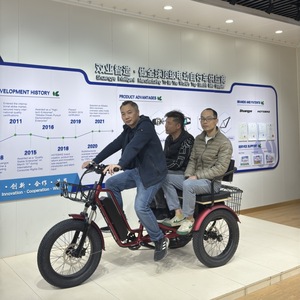 <span class=keywords><strong>Tricycle</strong></span> électrique longue portée pour la ville, 48v, vélo électrique à 3 roues, trike électrique, scooter électrique - Product Image 1