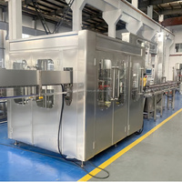 Ligne de remplissage automatique de jus, équipement de production de boissons, machine à fabriquer du jus de noix de coco, système d'embouteillage de jus