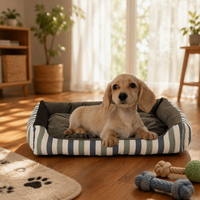 Niedliches Langlebiges Hundebett aus Coral-Fleece Maschinenwaschbar Abnehmbar Waschbares Sofa für Mittelgroße Hunde