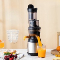 Custom Logo Elektrische Roestvrijstalen Oranje Groente Fruit Langzaam Kauwen Juicer Machine Commerciële Koudgeperste Juicer
