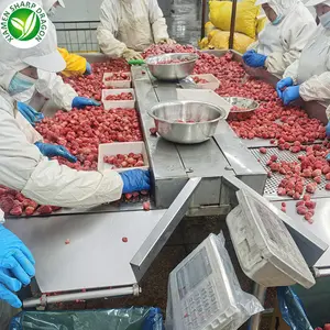 Wholesale high quality iqf frozen fresh strawberry bulk