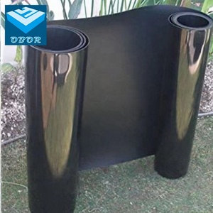 Bambú Proteger HDPE Geomembrana 1mm1.5mm 3mm para Barrera Raíz - Product Image 3