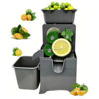 Presse-agrumes commercial robuste à prix d'usine, extracteur de jus automatique de citron vert, citron et kumquat, presse-agrumes à froid