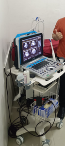 Échographe Doppler Couleur Portable Avancé Dawei DW-P30 avec Imagerie 4D pour le Diagnostic Hospitalier Humain - Product Image 5