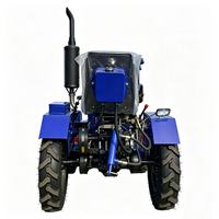 Mini Tractor de 25-50 HP con Motor Diésel 4x4, Caja de Cambios y Bomba, 8 Marchas Adelante, para Jardín, Granja, Huerto e Invernadero