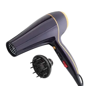 Sèche-cheveux à capuche professionnel 2500w, pour pied, bon prix